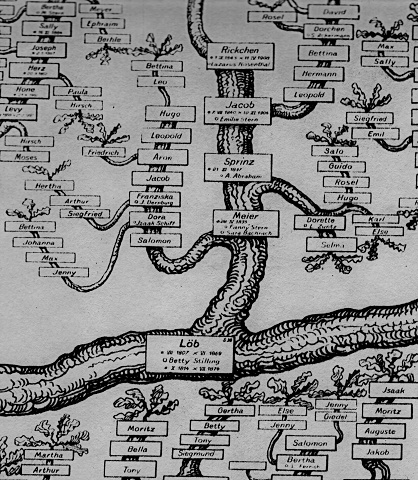 Close In On Leo Strauss